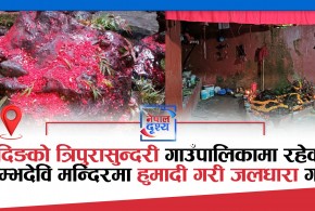 धादिङको त्रिपुरासुन्दरी गाउँपालिकामा रहेको कुम्भदेवि मन्दिरमा हुमादी गरी जलधारा गर्ने